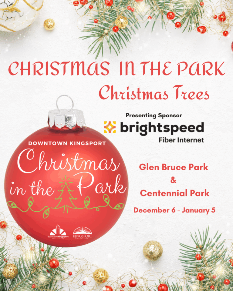 Christmas in the Park instagram 1 768x960